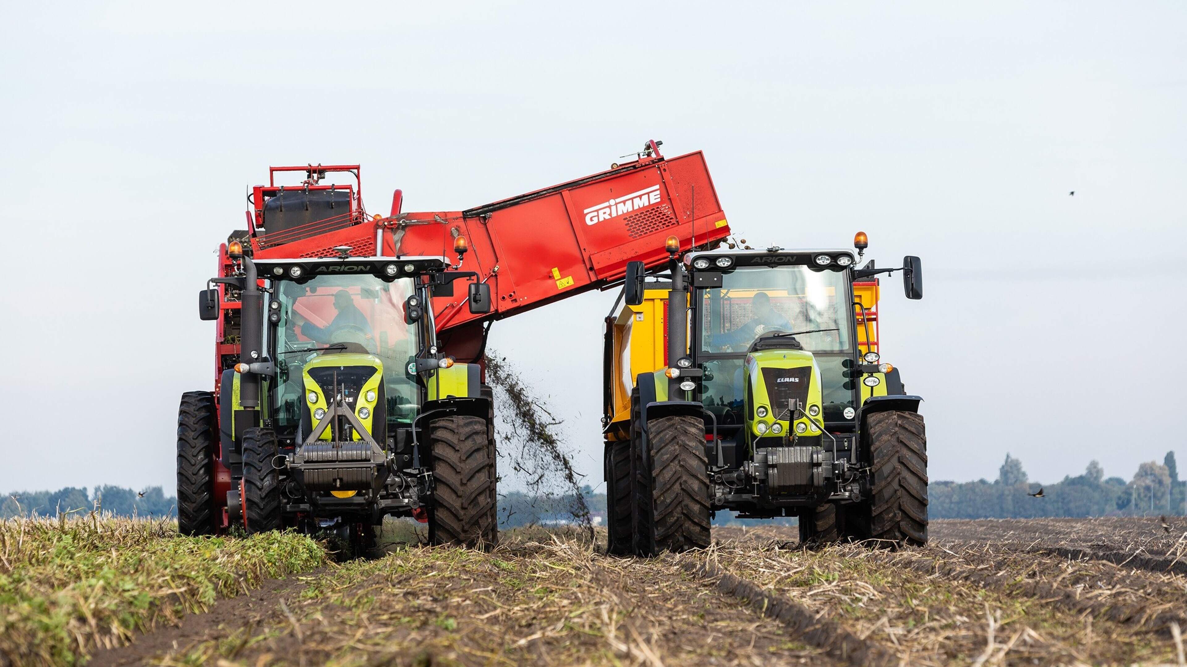 Avebe halveert aardappelprijs: boeren in Noord-Nederland vrezen teelt onder kostprijs