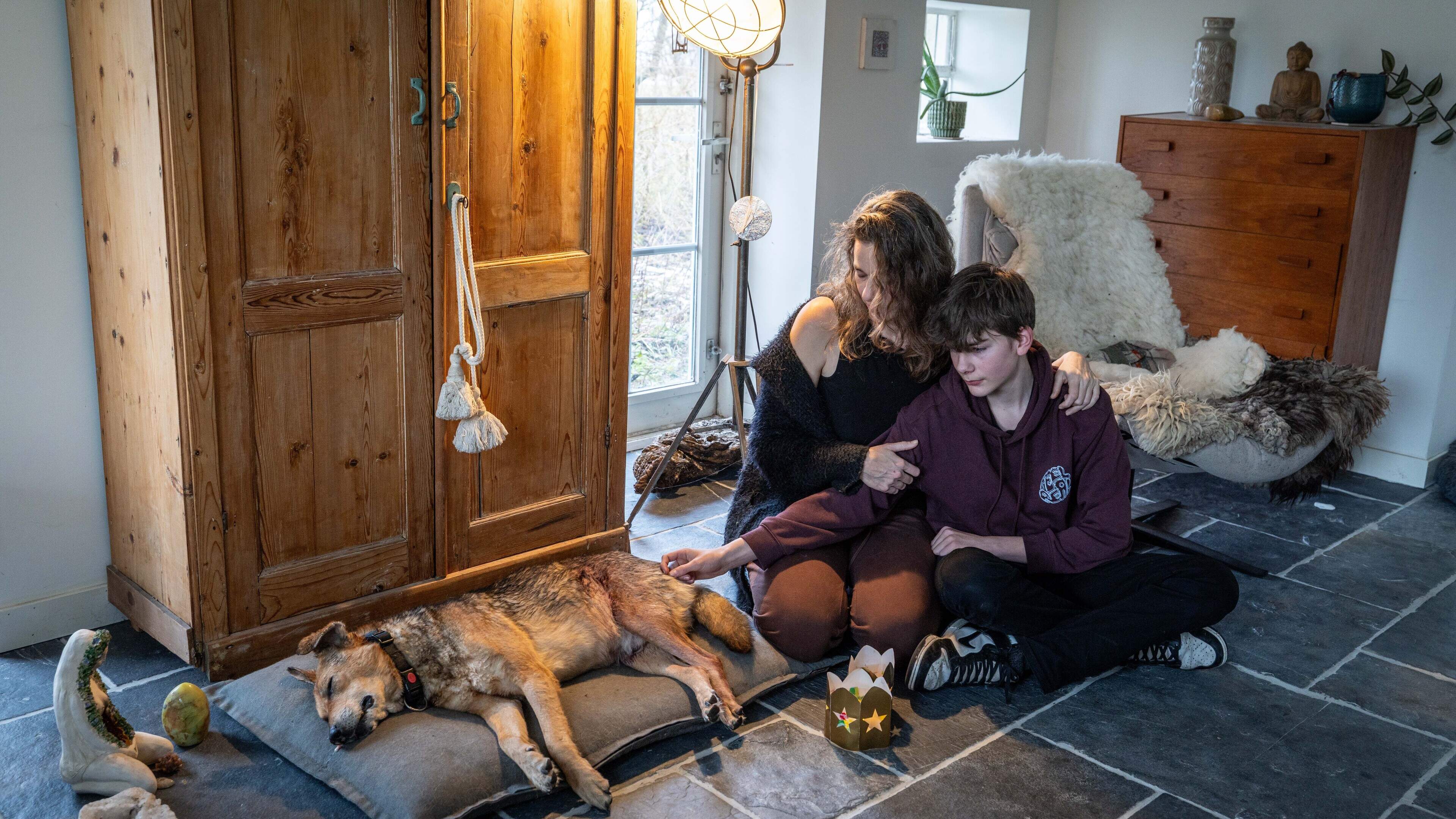 Hond doodgeschoten in Wapse door man met geweer. Baasje Lotte (48): ‘Benji lag in de sloot. Dood’