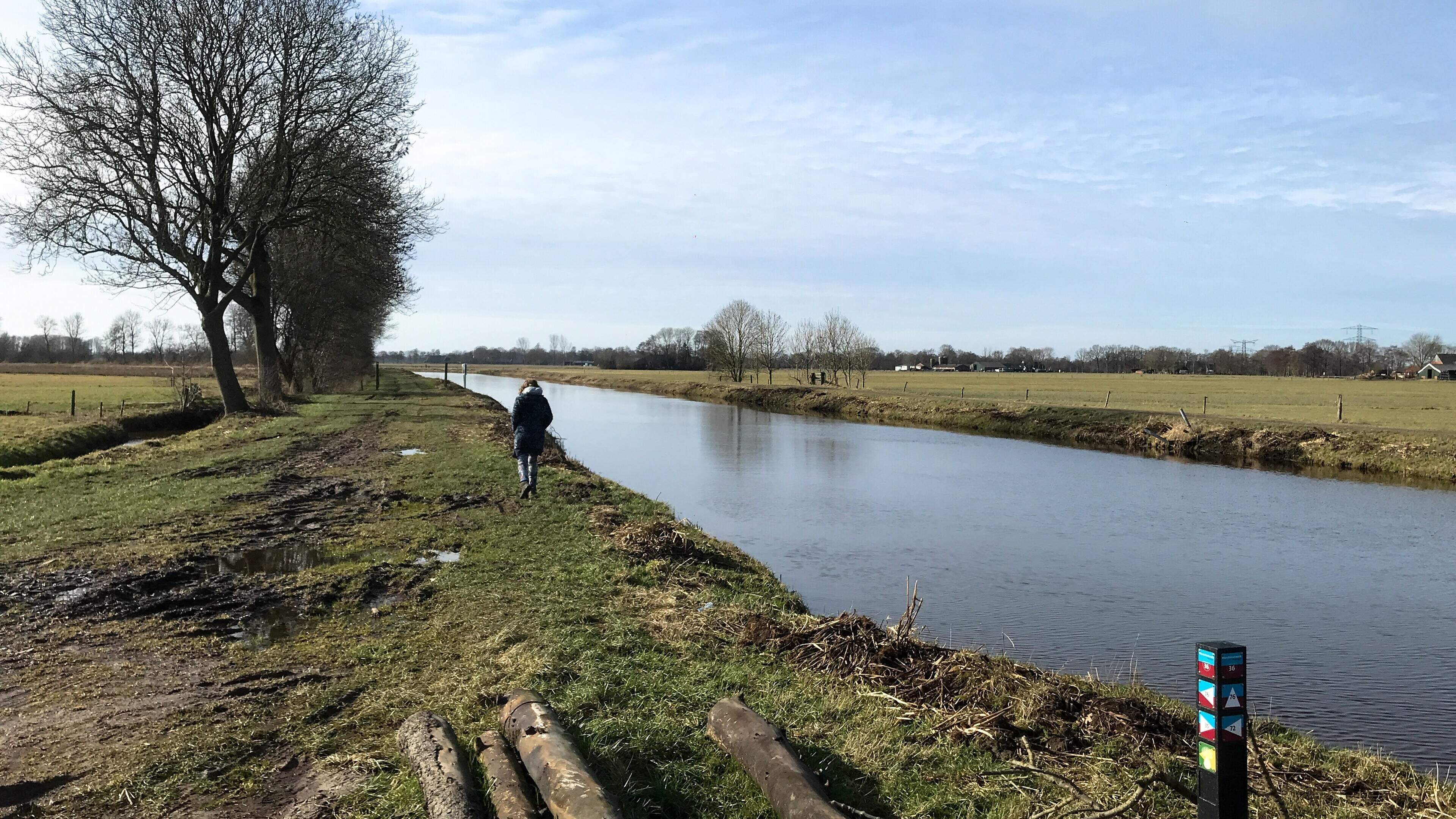 BBB Groningen wil met grondruil alsnog onteigening boerenfamilie Westerkwartier voorkomen