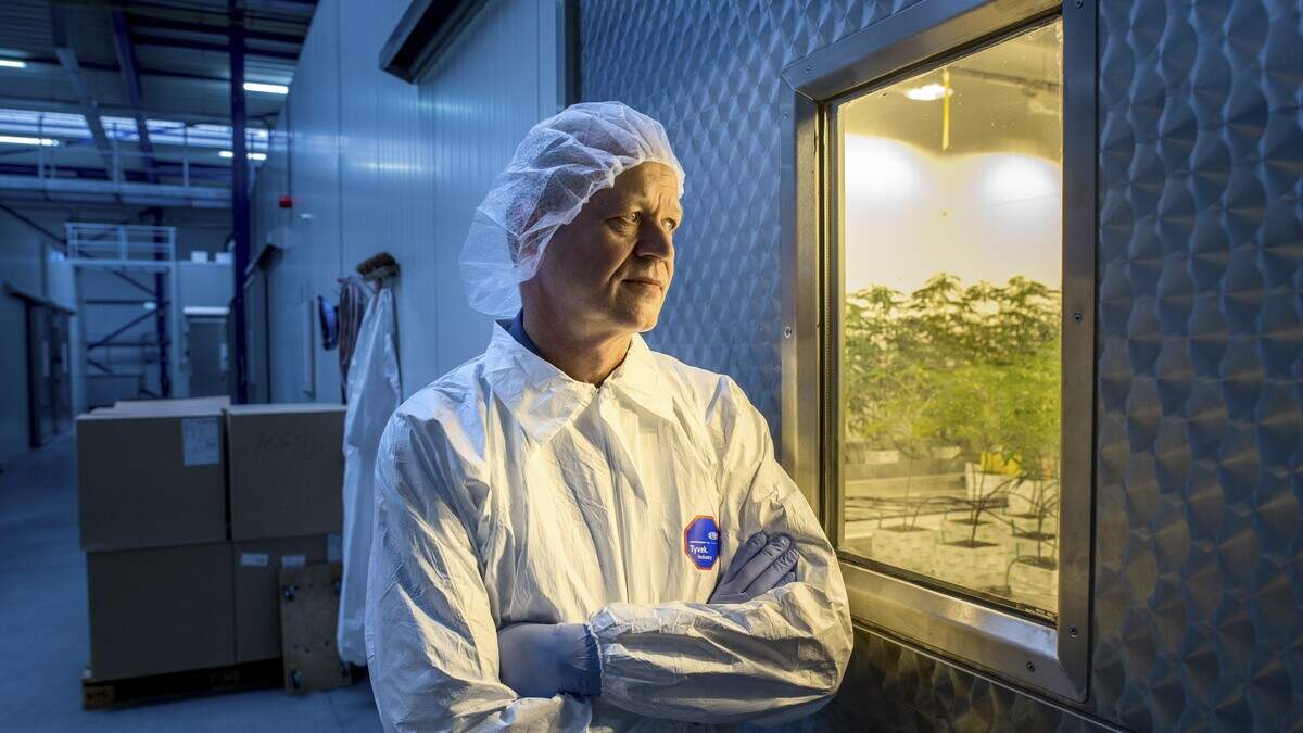 Wietteler Bedrocan uit Veendam krijgt surseance van betaling
