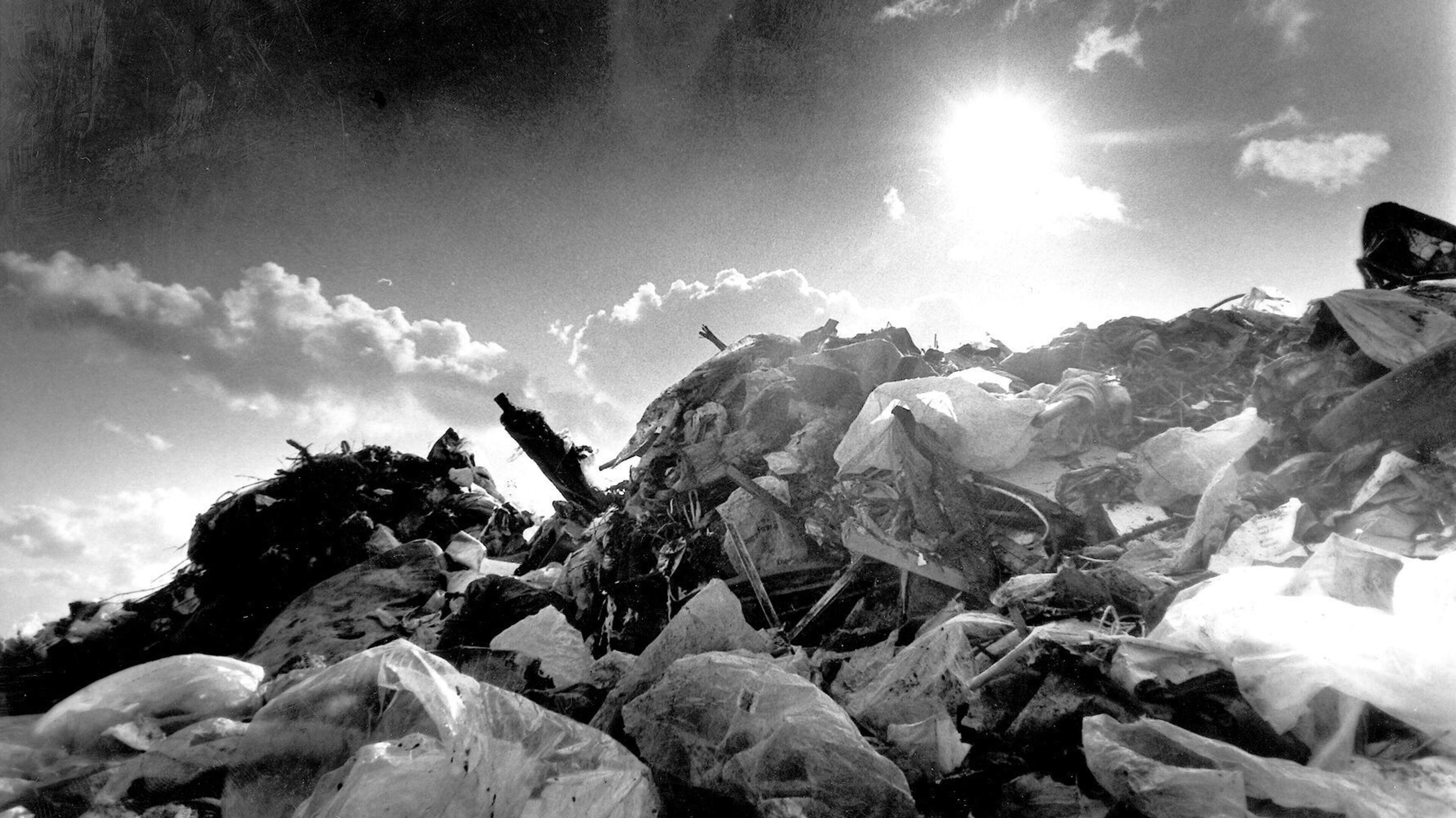 Afval wordt uitzicht: expositie op VAM-berg verbindt duurzaamheid, natuur en recreatie