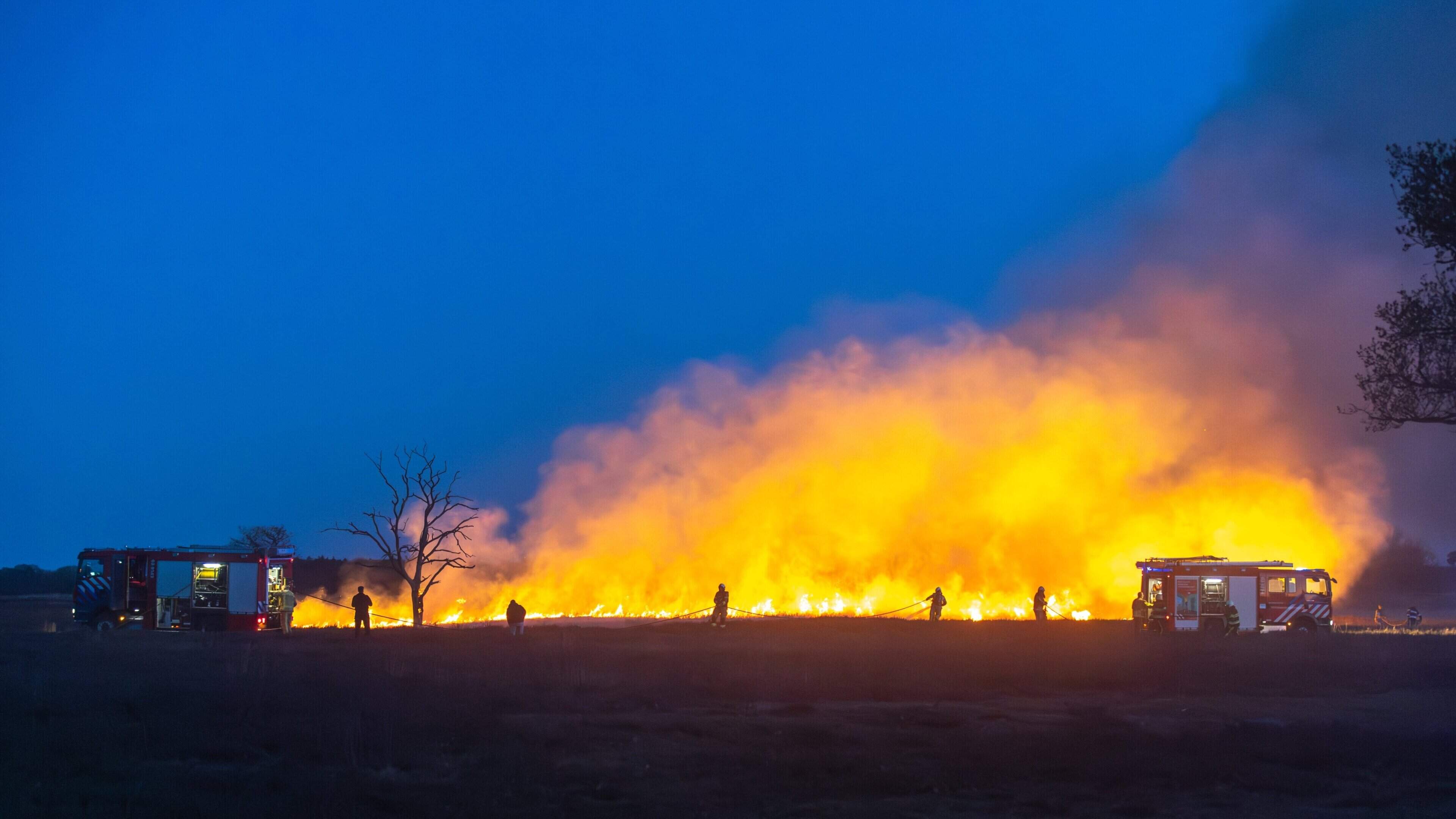 Verhoogd risico op natuurbranden. ’Kleine brand kan zich nu razendsnel uitbreiden’