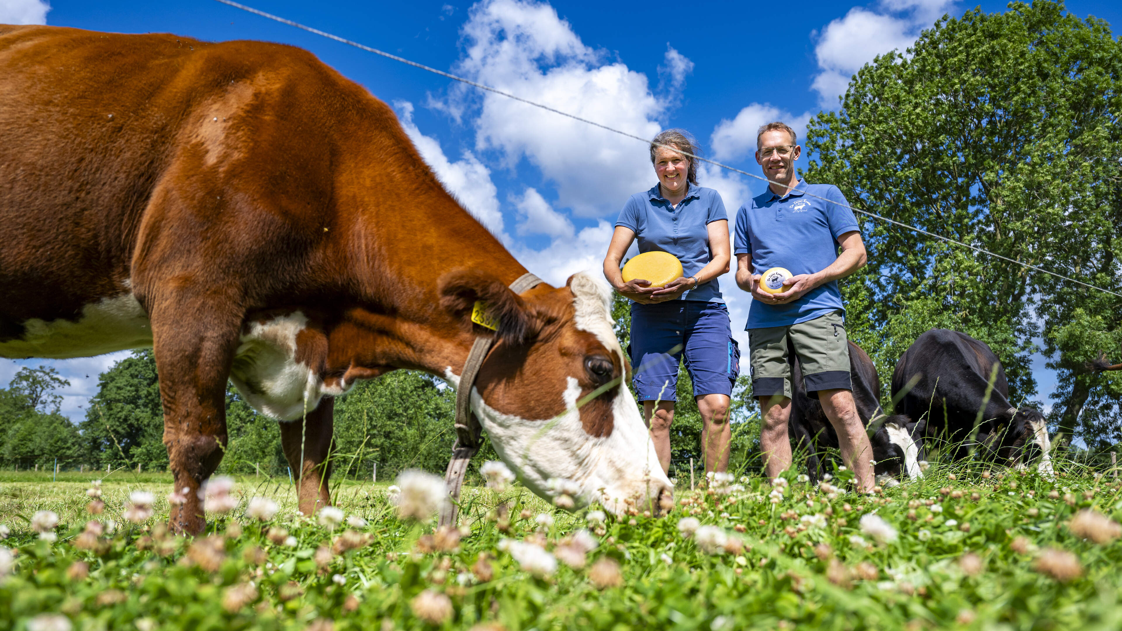 Emelie (48) en Roelof André (56) uit Doldersum melken slechts zeven koeien, maar daarom hebben ze we