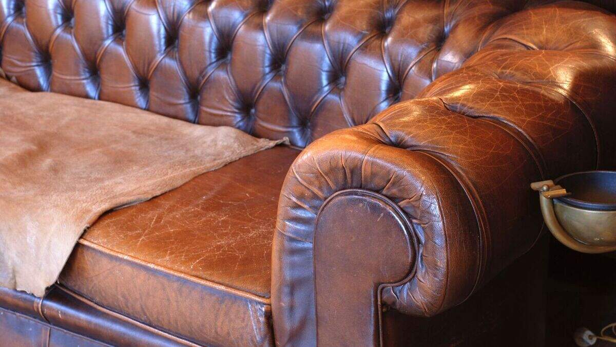Chesterfield Licentie uit Emmen failliet, derde bv van twee broers in een jaar