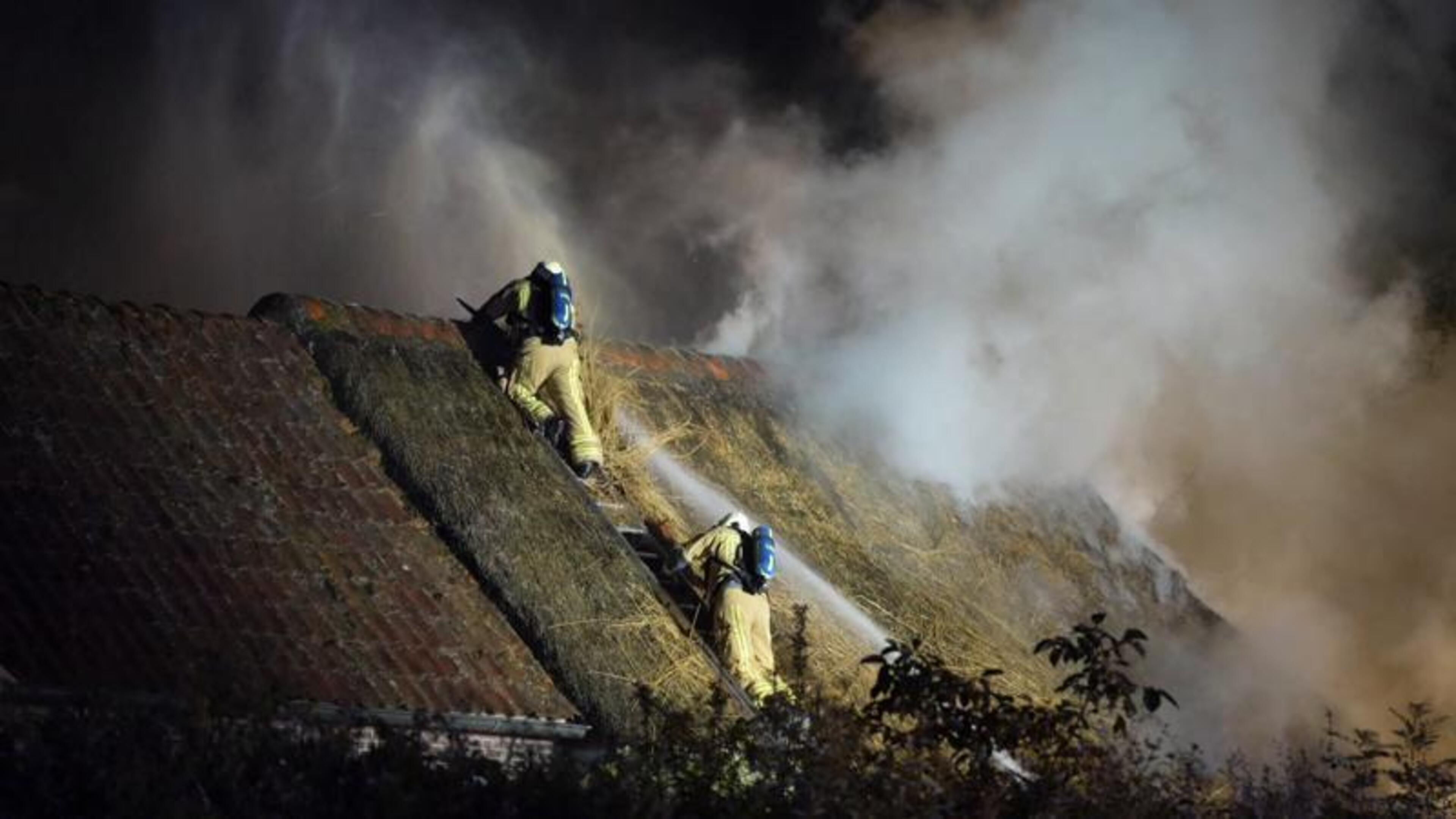 Brand Ansen