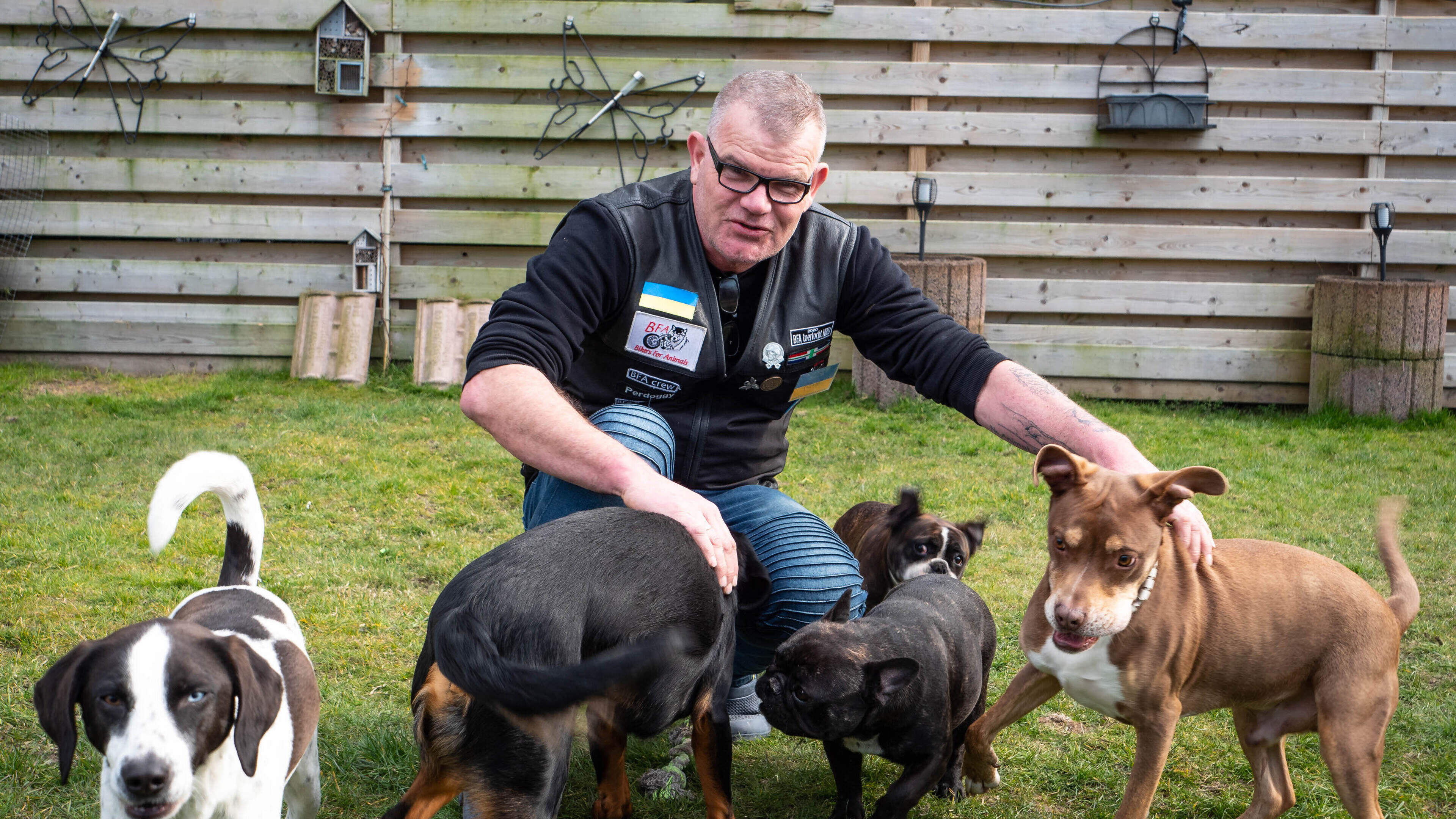 René uit Borgsweer haalt 12 honden en 9 katten uit Poolse asielen, zodat daar ruimte komt voor diere