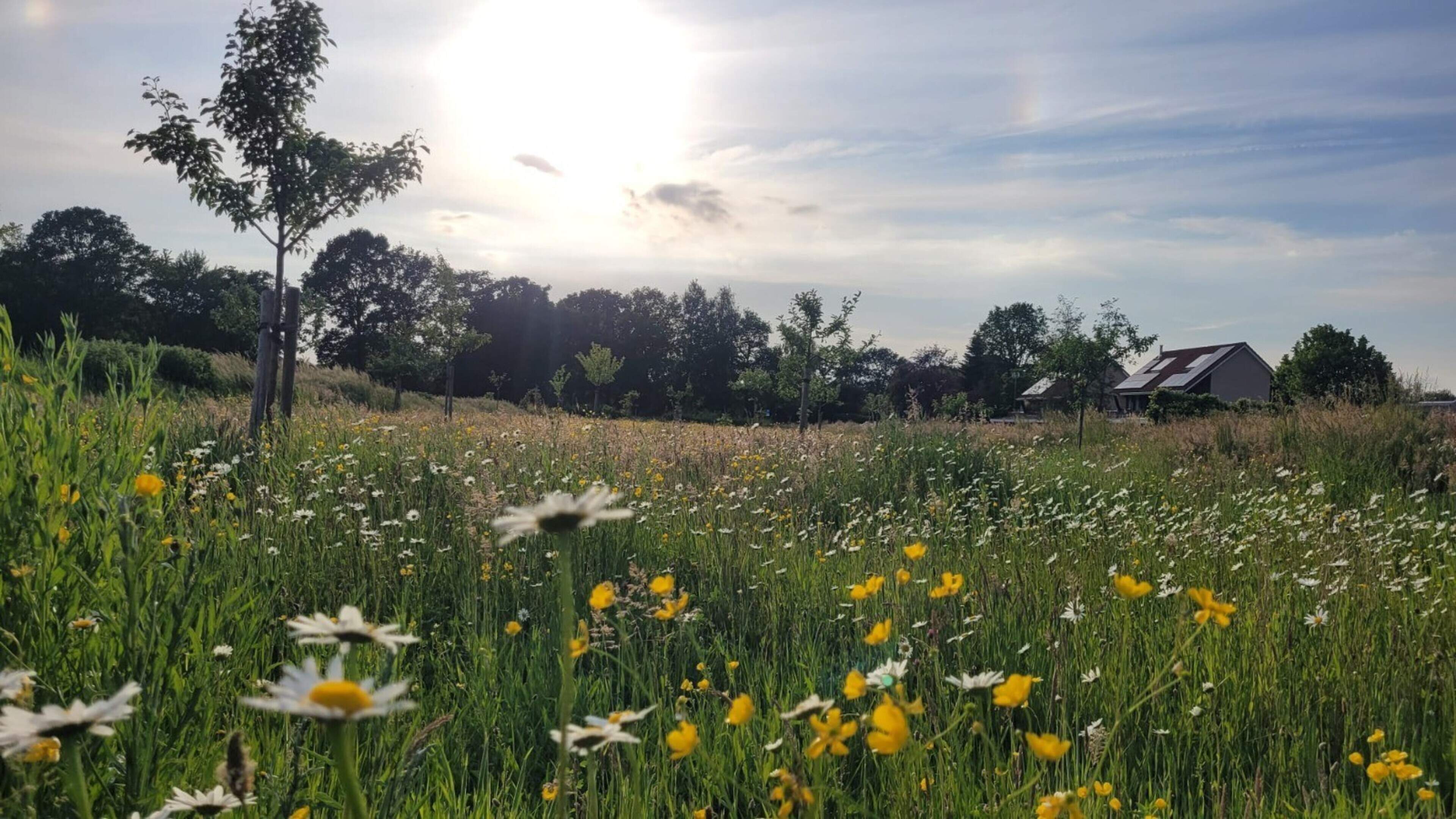 Ontdek de natuur dicht bij huis. Threant 2.0 houdt een buurtsafari