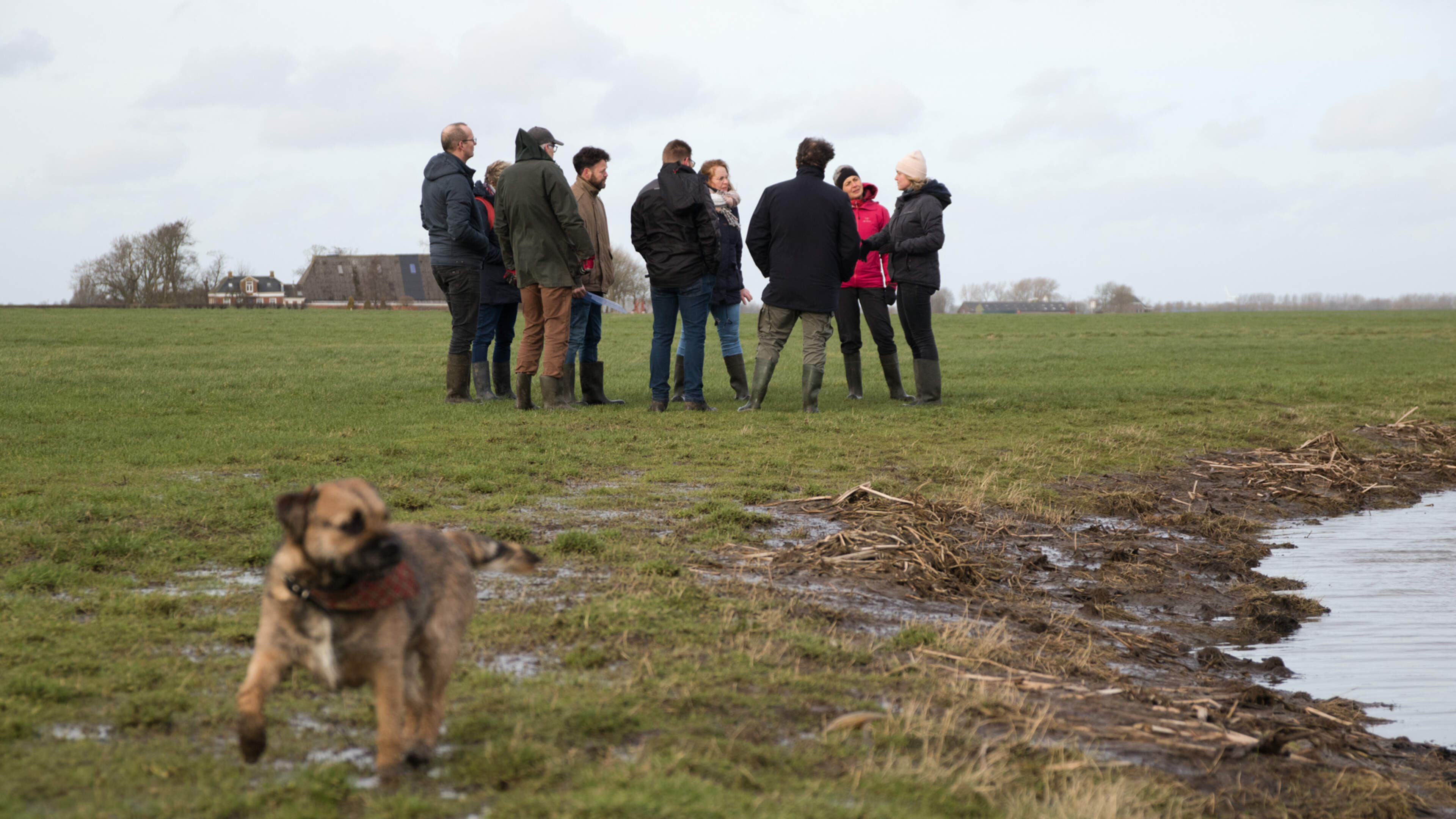 Bij Ezinge vragen ze zich af: verdrinken boeren en vogels straks in de polder?