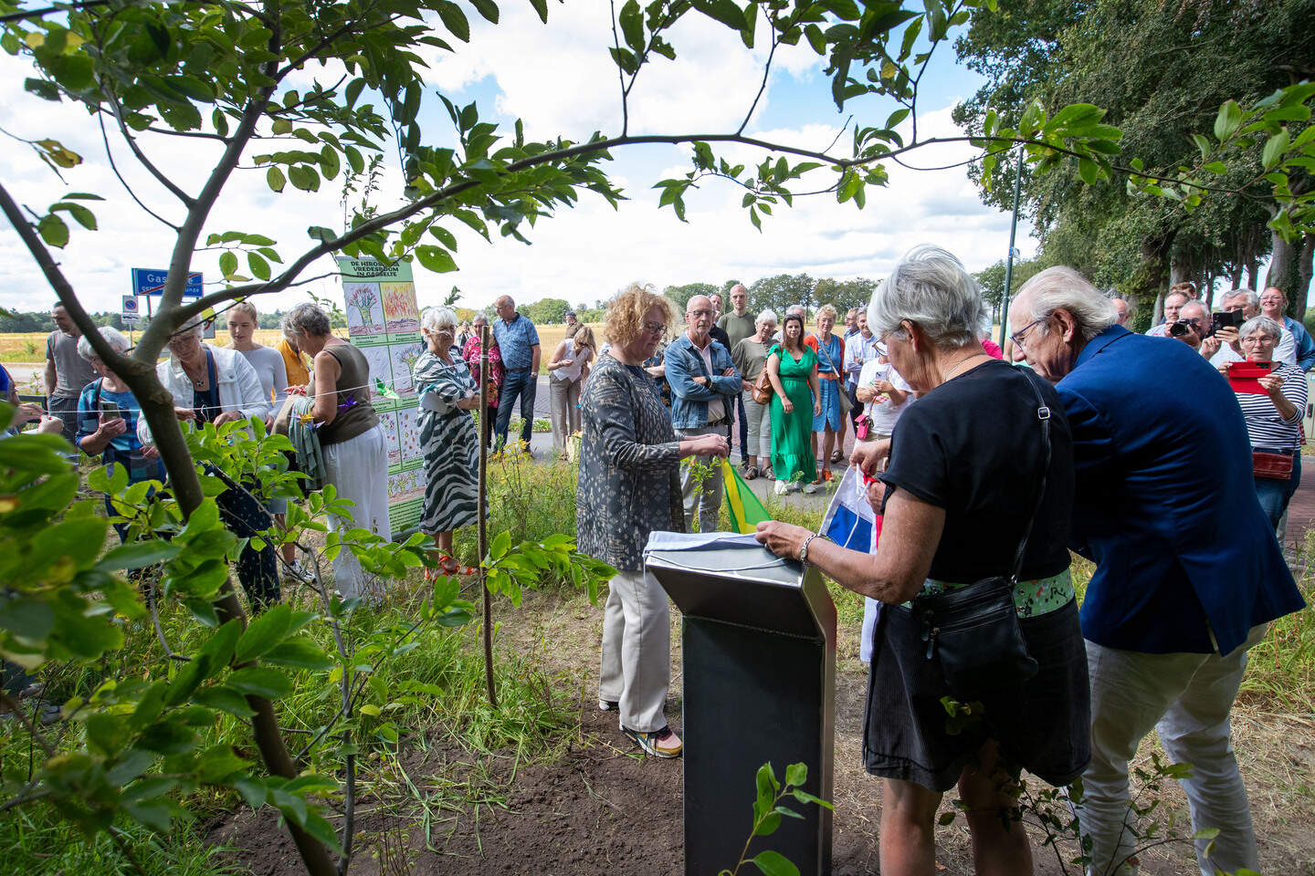 Afstammeling van boom uit Hiroshima in Gasselte onthuld | Dagblad van ...