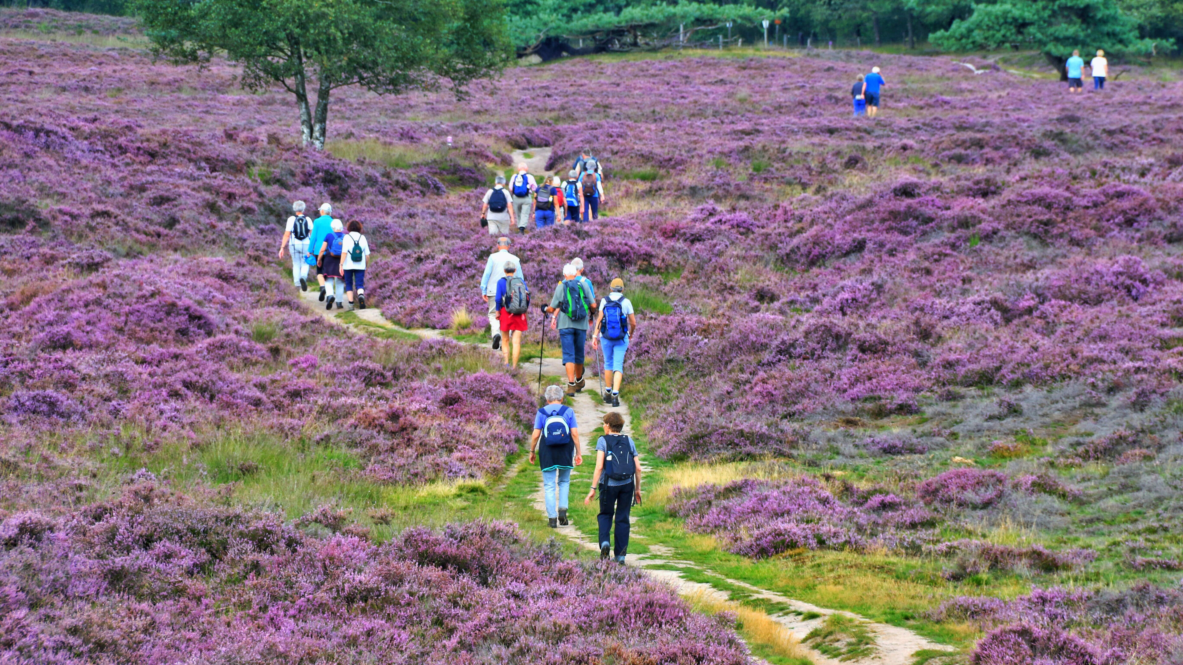 Het gaat niet goed met de natuur in Drenthe, maar er mankeert ook wel wat aan de onderzoeksrapporten
