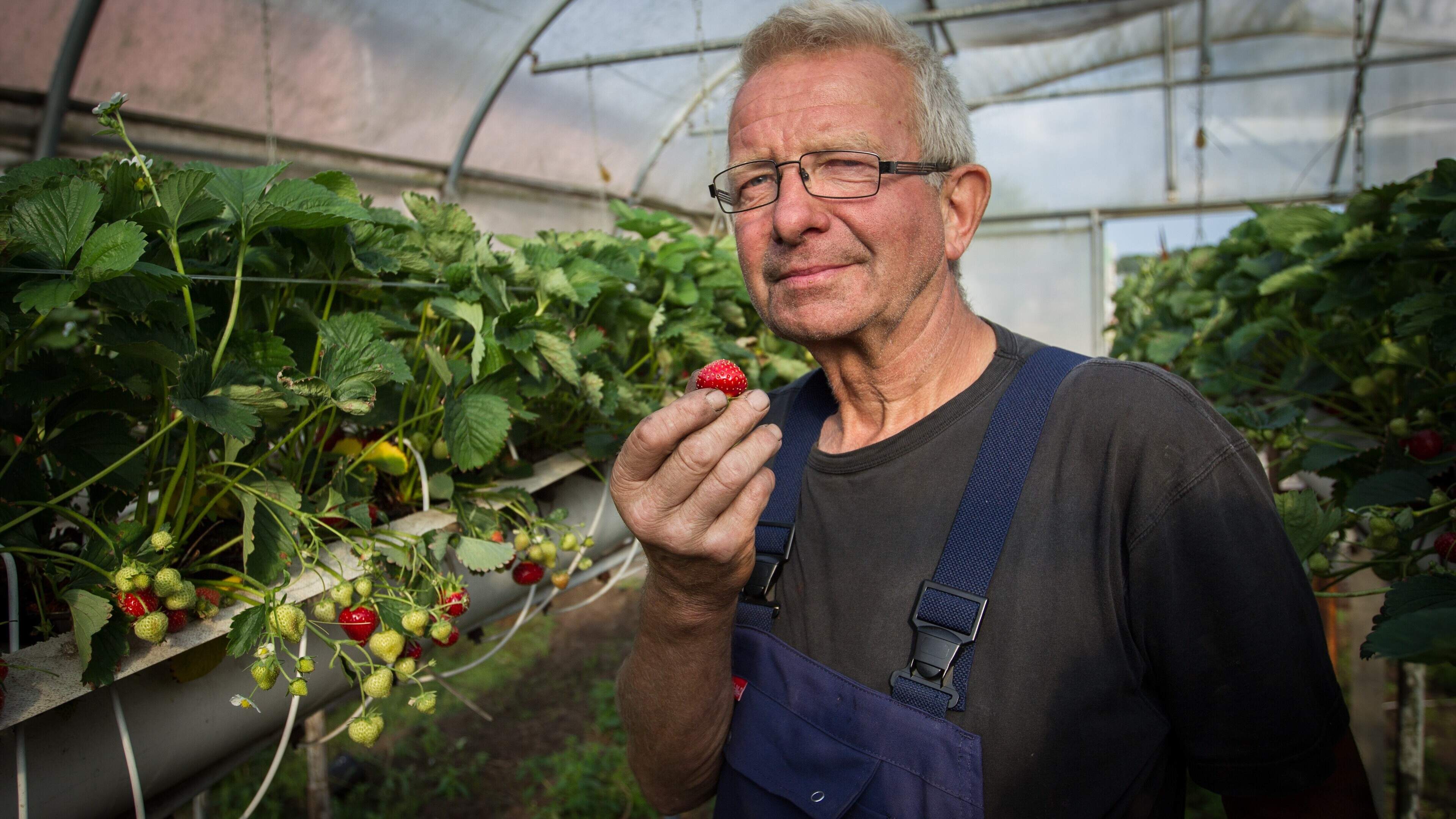 Boek toont andere kant van Boer zoekt Vrouw. Boer Jan uit Allingawier blikt terug