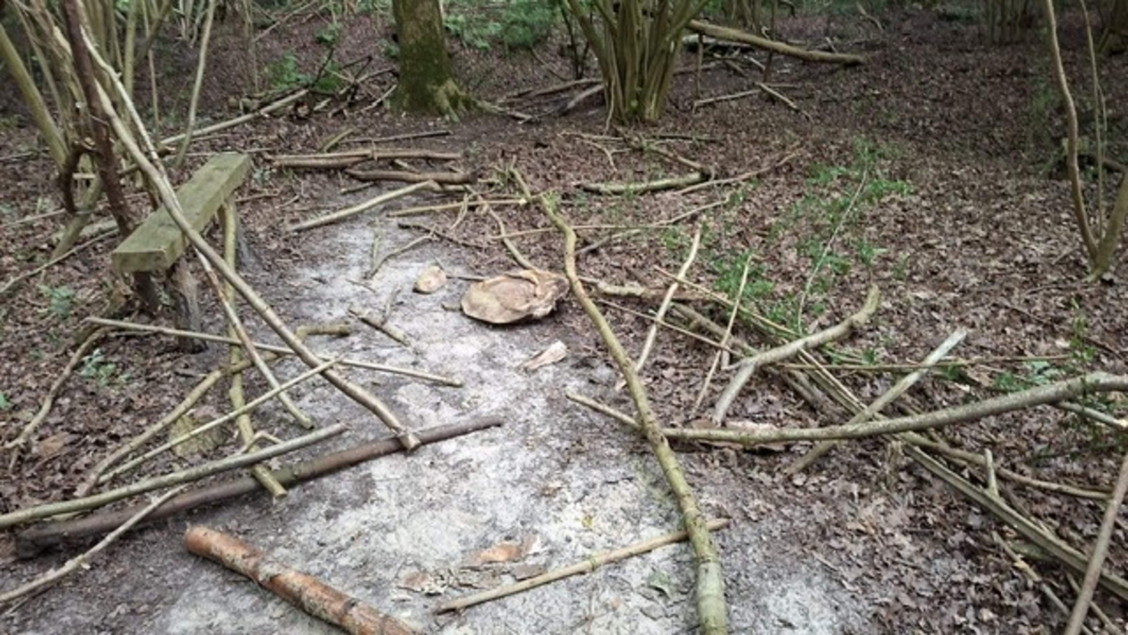 Sprookjespad van Bert (62) in Stadskanaal totaal vernield. ’Alleen vikingdorpje staat nog overeind’