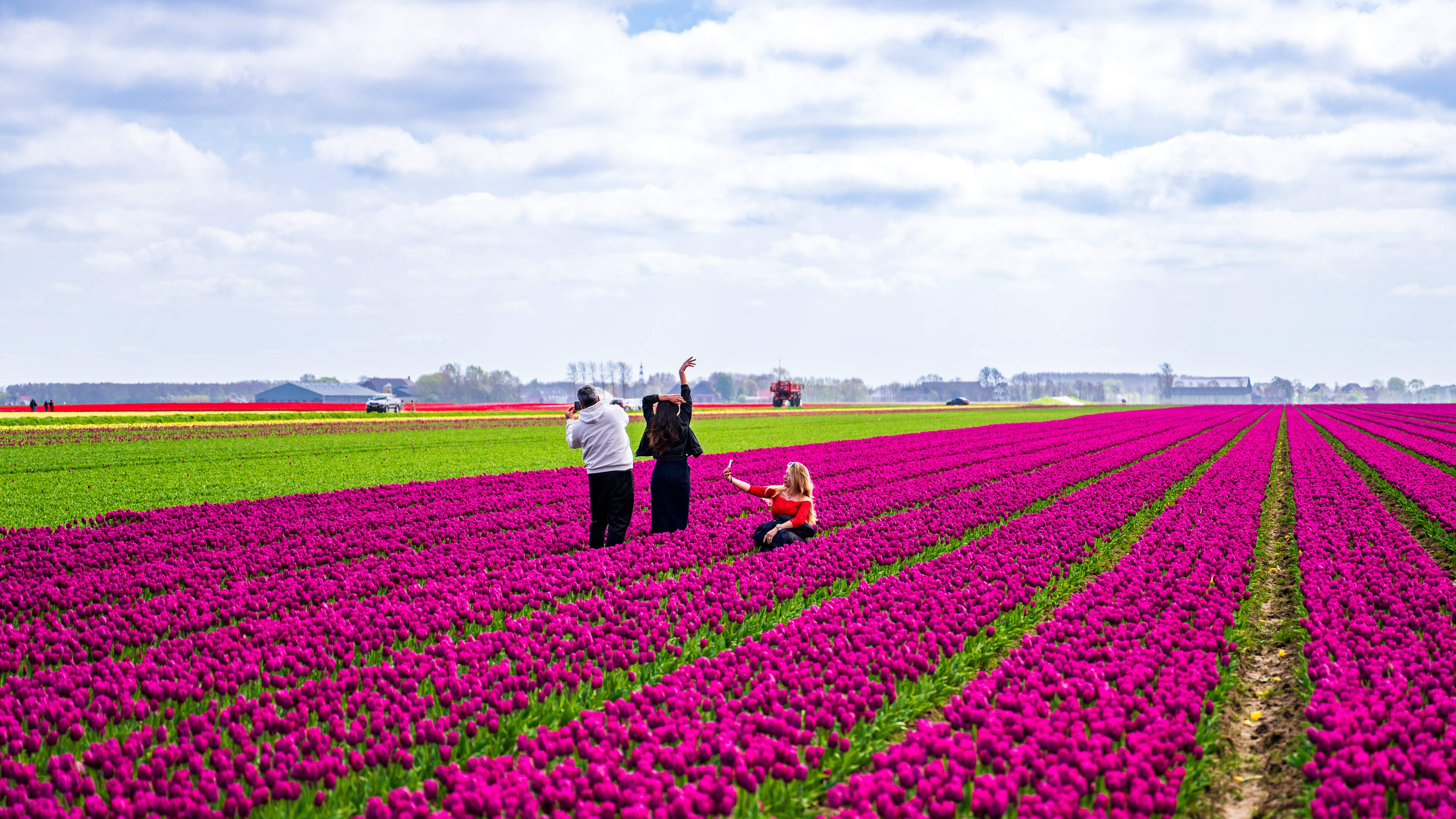 Waarom de tulpenvelden op Het Hogeland zo onweerstaanbaar zijn.