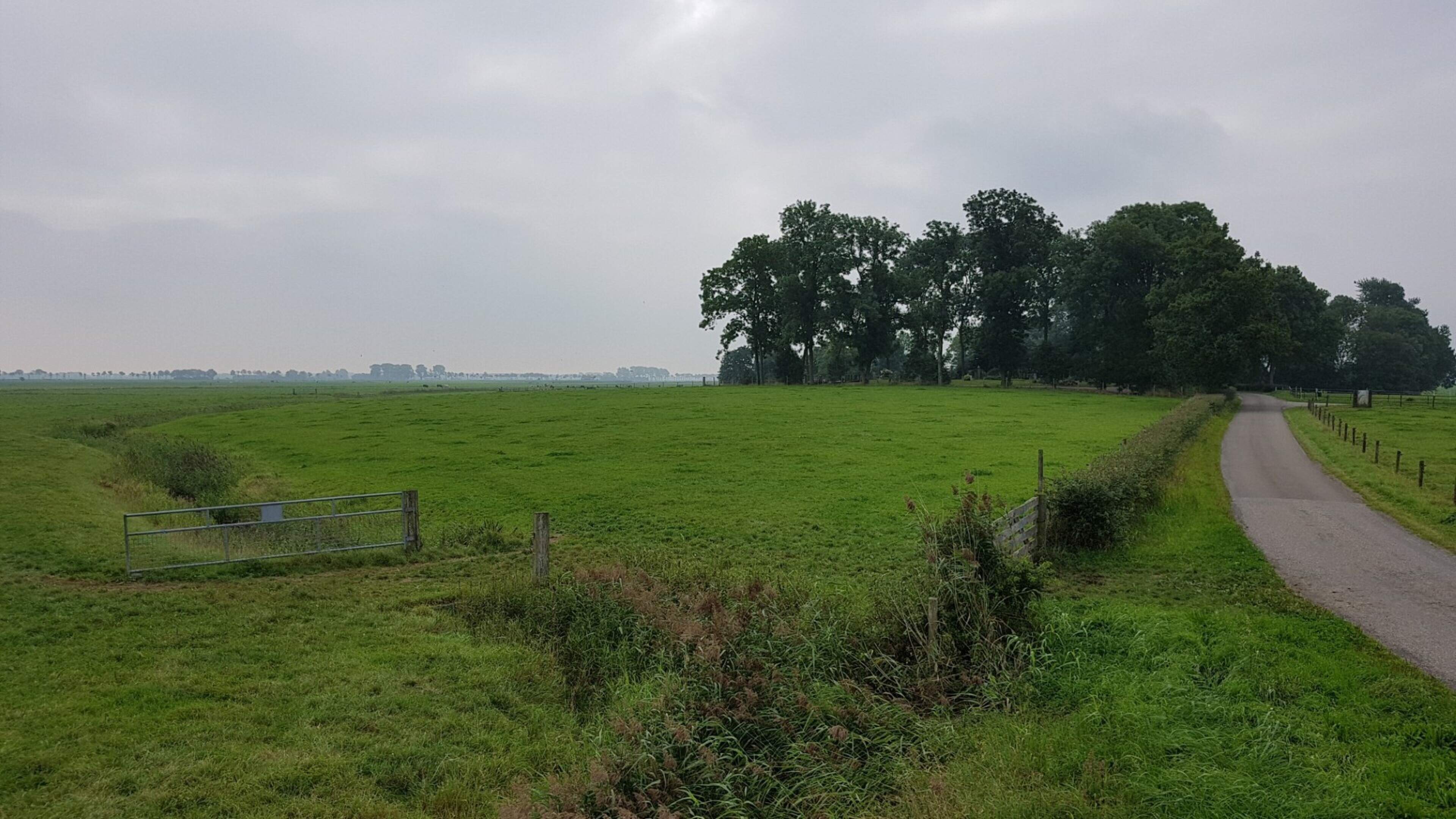 Waarom kiezen zoveel Groningers voor natuurbegraven op de wierde bij Wierum? Zoveel kost een rustpla