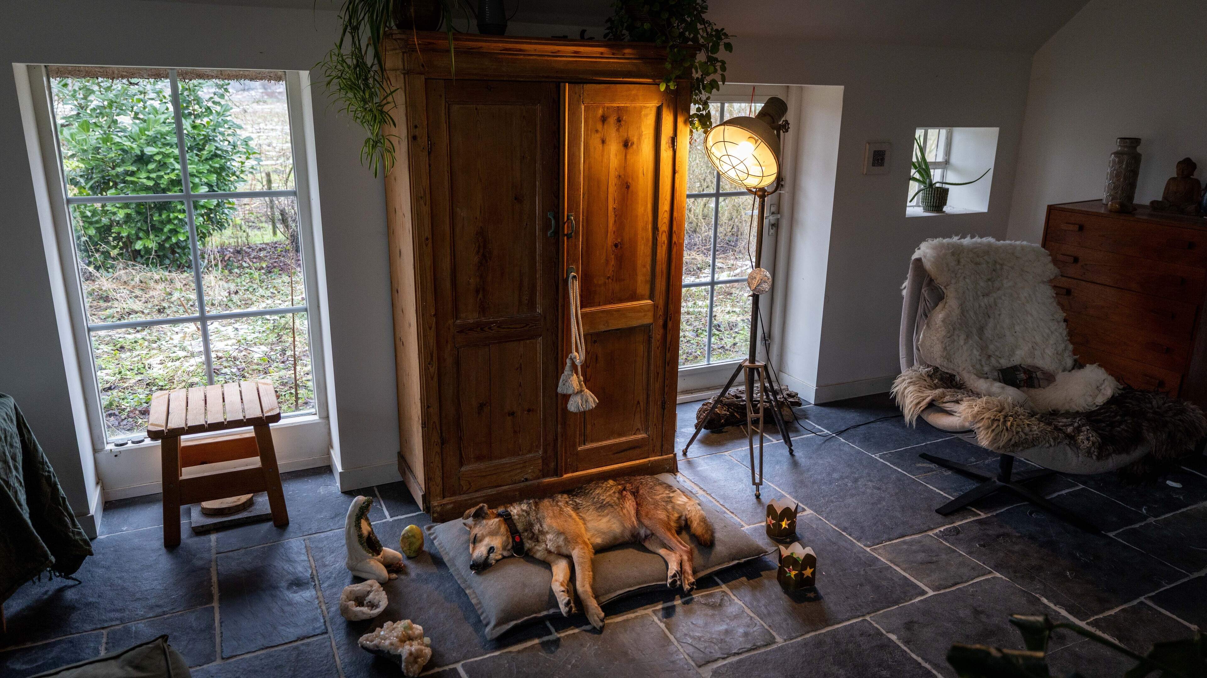 Politie neemt wapens en ‘gegevensdragers’ van jager in beslag die hond doodschoot in Wapse