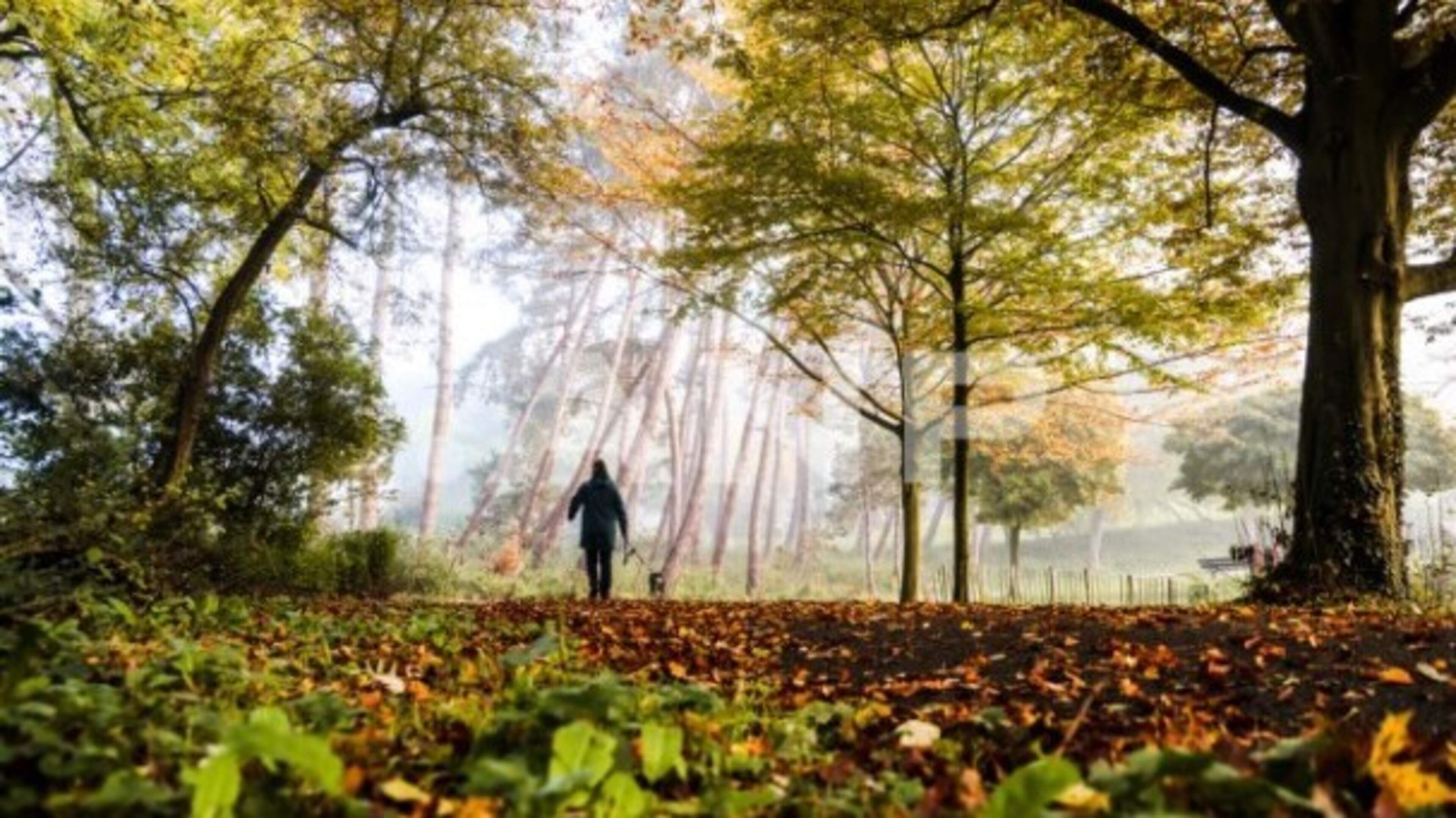 Eerste dag onder 15 graden, Nieuw-Beerta ‘t koudst met 11 graden
