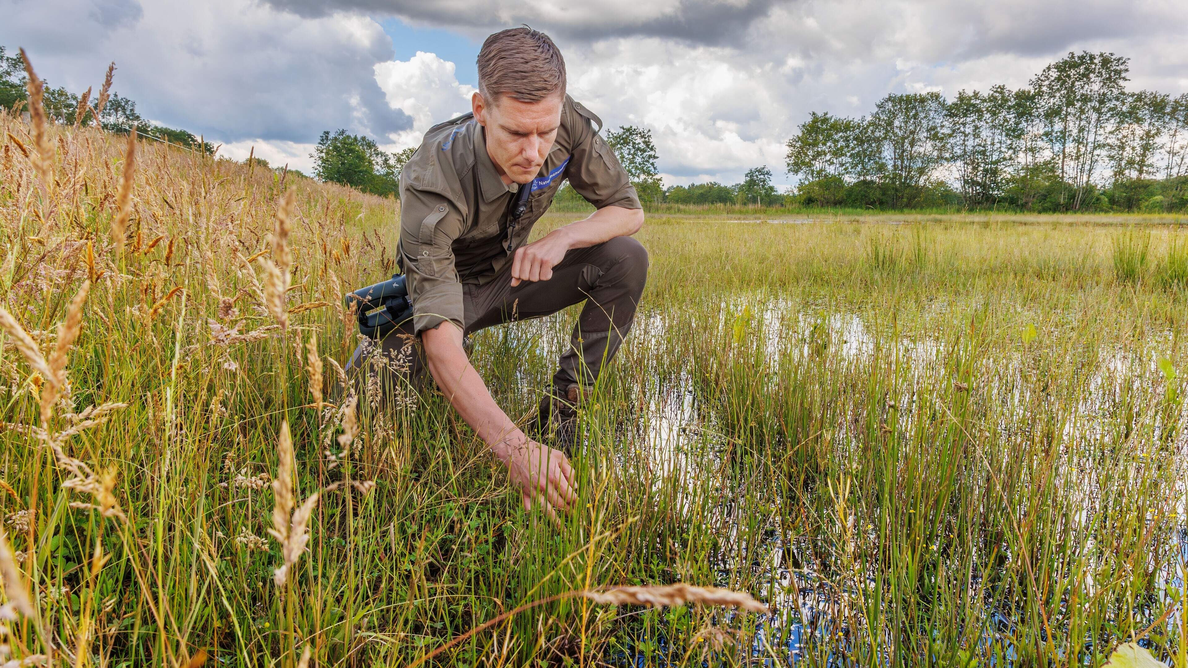 Onbedoelde binnenzee in het natuurgebied bij Uffelte laat haar sporen na. ‘Het is stil geworden’