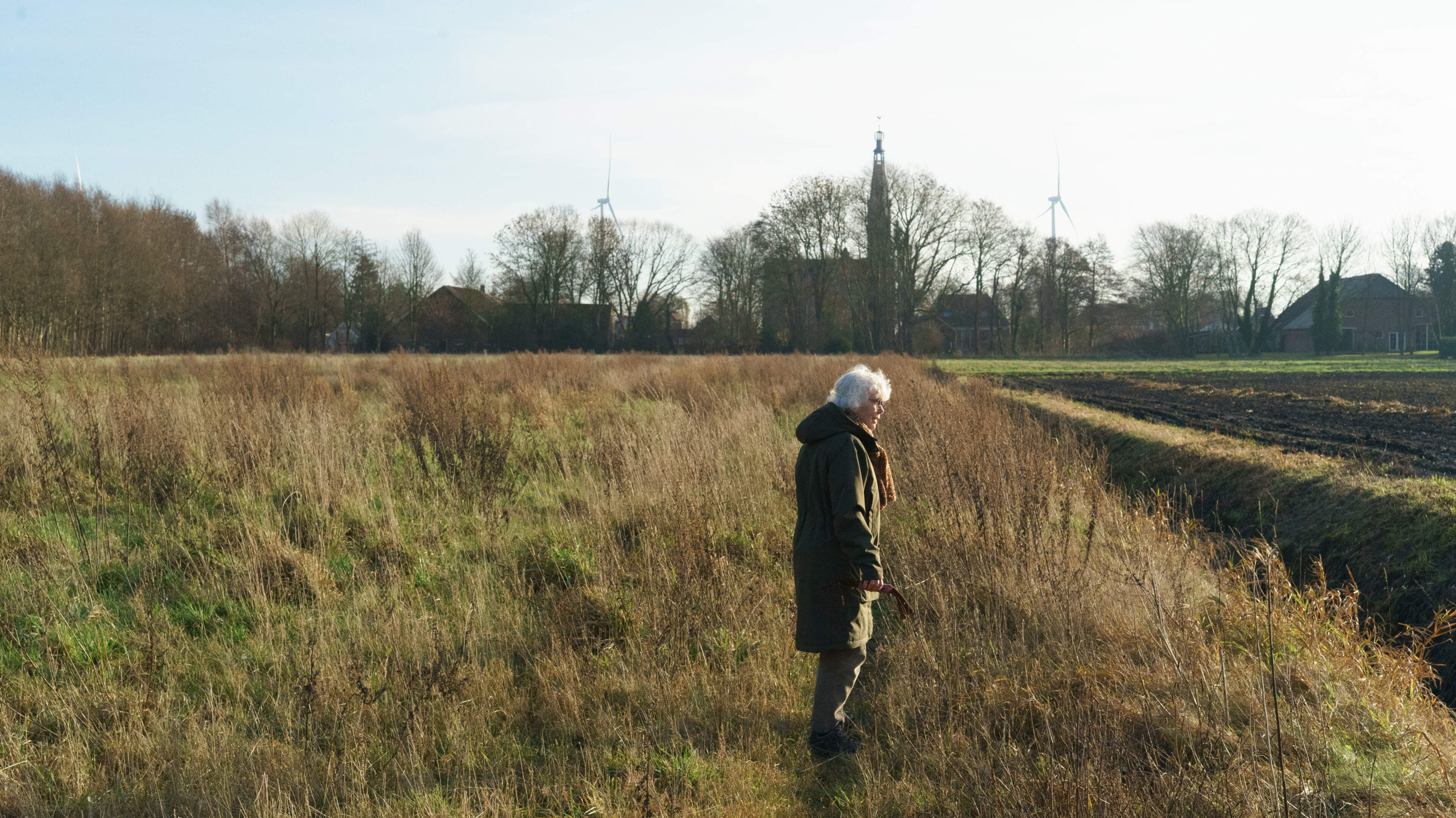 Voedselbos in Wildervank. Inwoners bouwen mee aan natuur