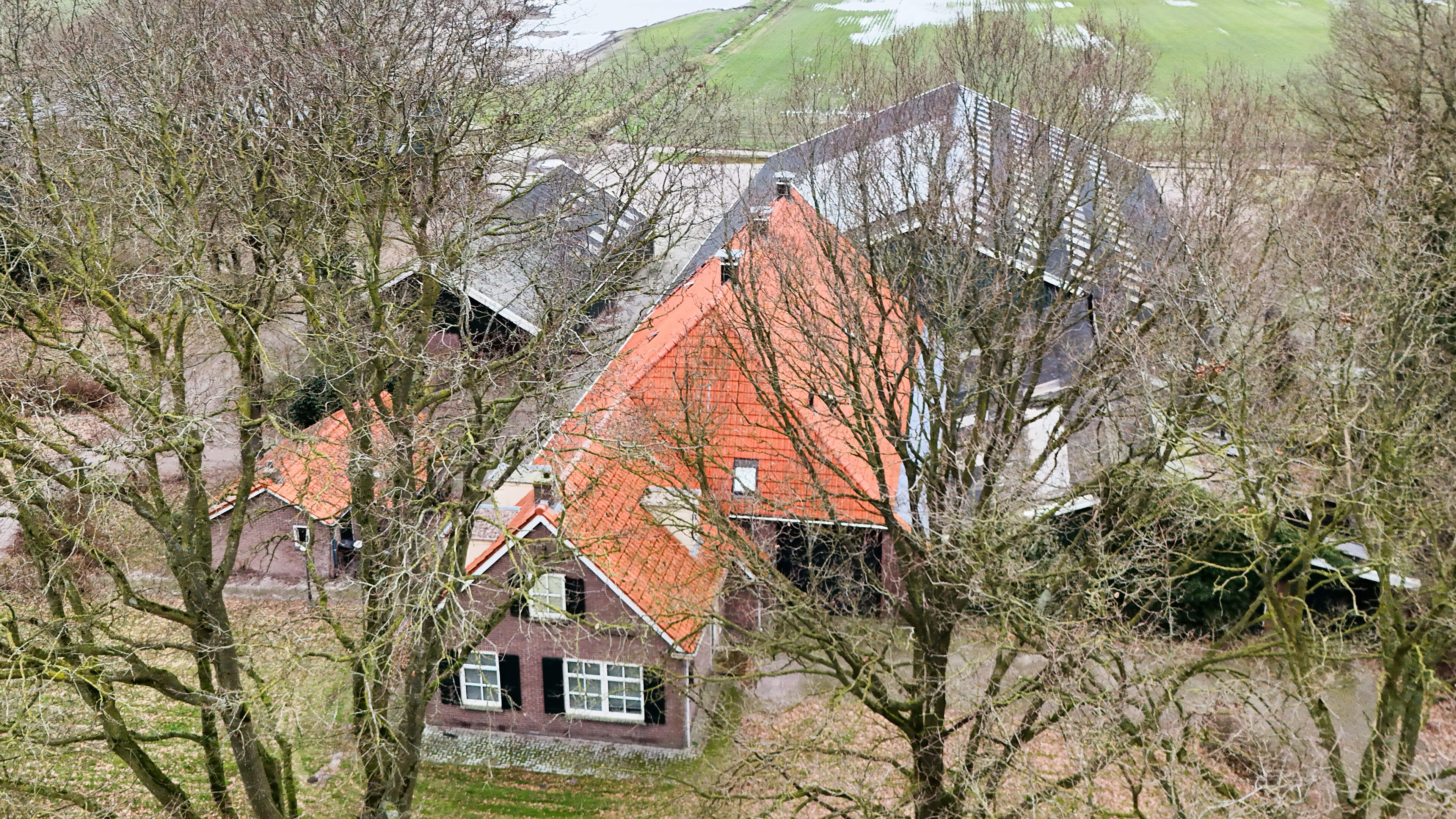 Drenthe haalt doelen voor het opkopen van veehouderijen niet, 17 miljoen euro terug naar het Rijk