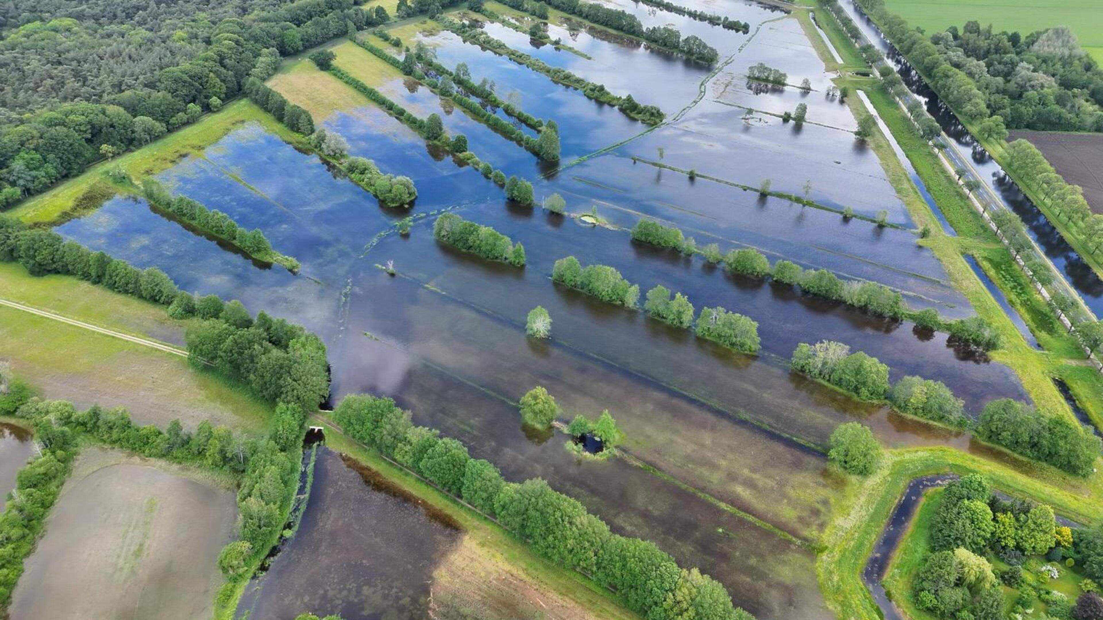 Dieren verdrinken bij overstroming natuurgebied Uffelte door fout. ‘Zo verdrietig. Juist nu...’