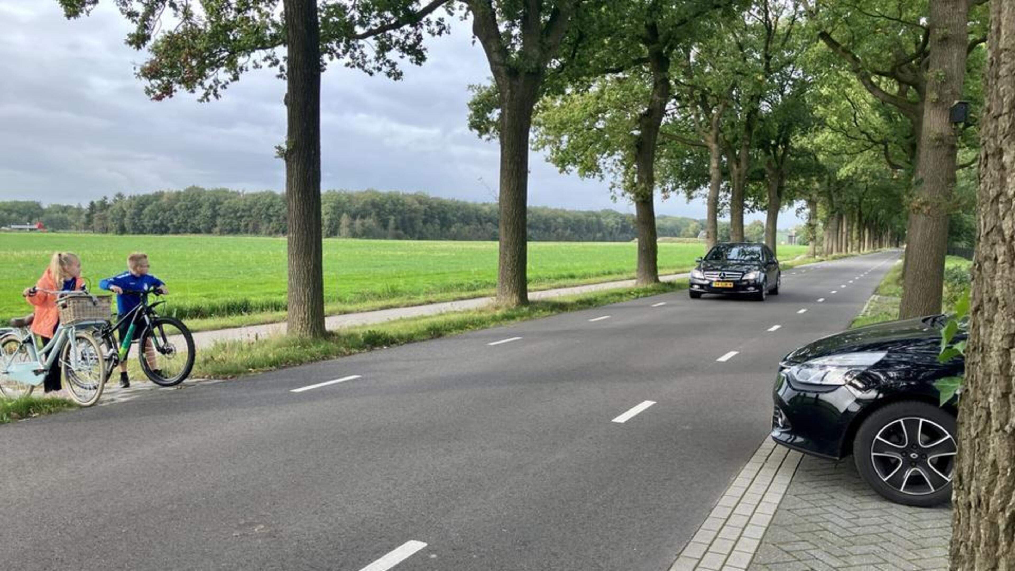 Kapplannen van bomen langs Coevorderstraatweg in Noordscheschut vertraagd door vleermuizen