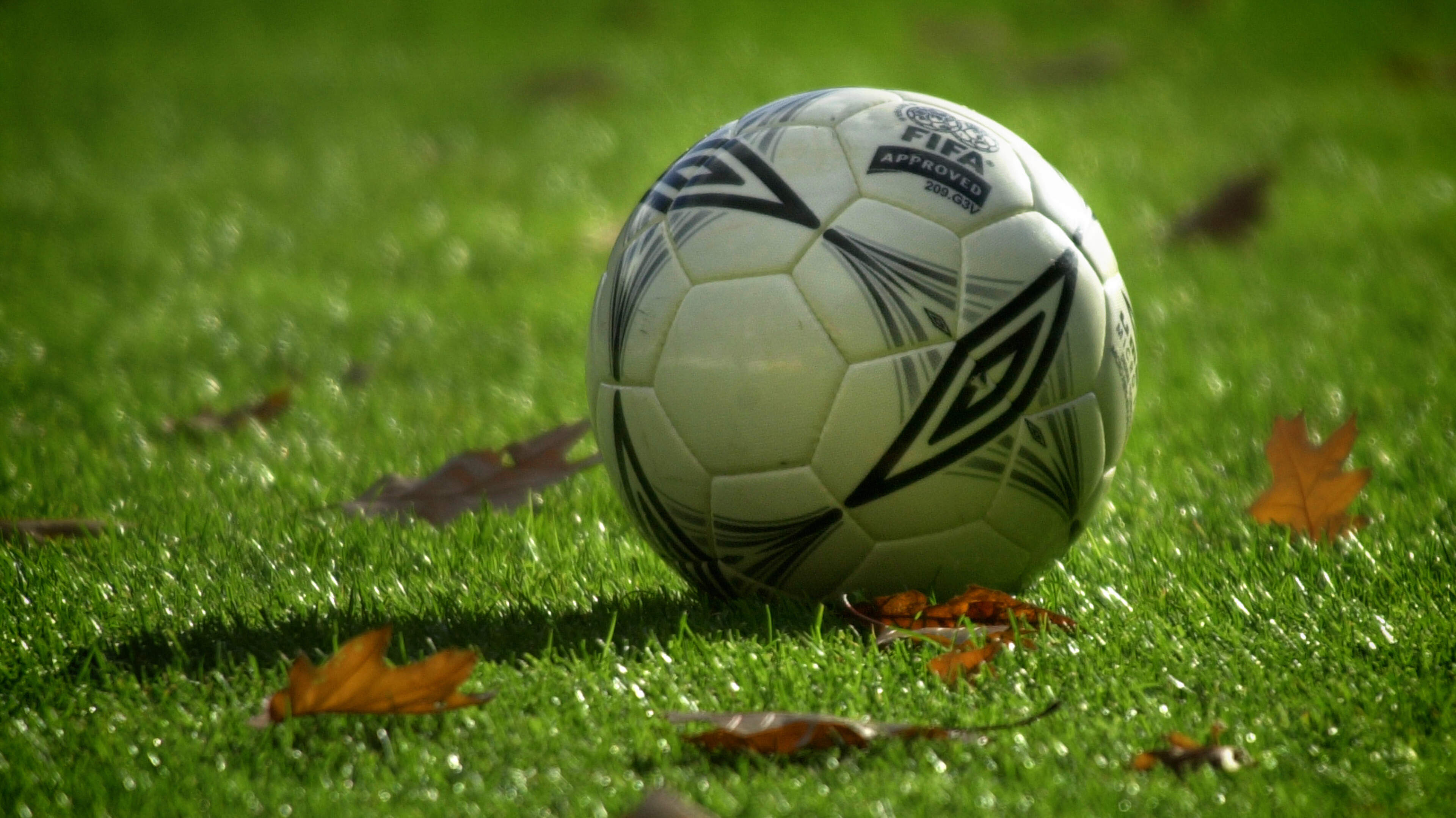 Delfstrahuizen ondanks knokpartij tussen fans vanaf de stip naar derde klasse