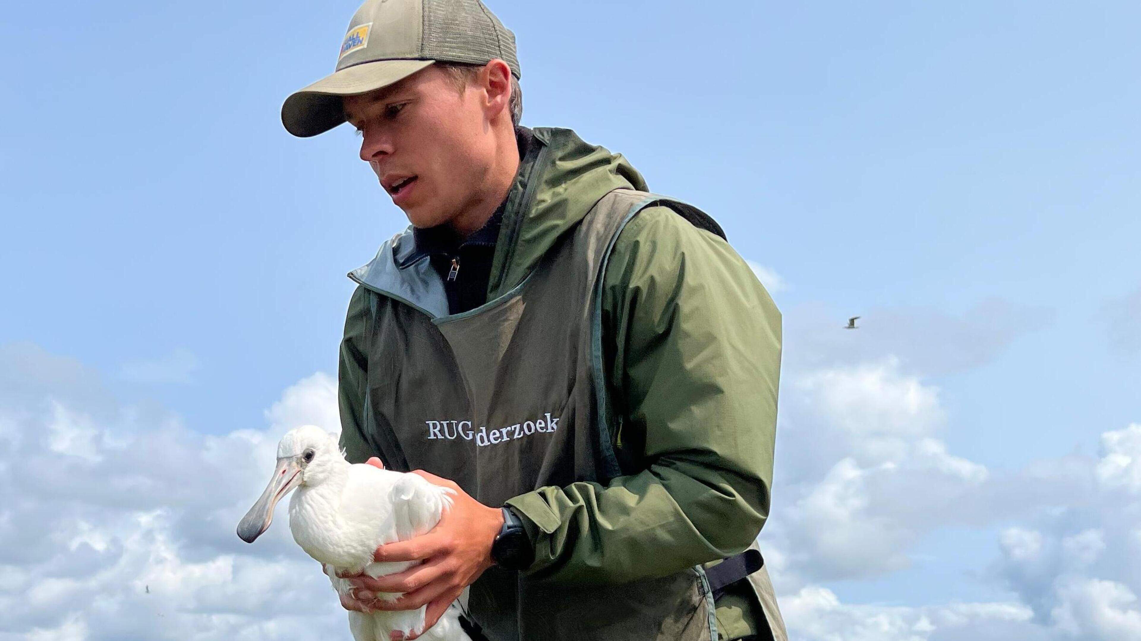 Vogelgriep onder lepelaars op Schiermonnikoog. ’Het zwartste scenario is een slachting bij de trek n